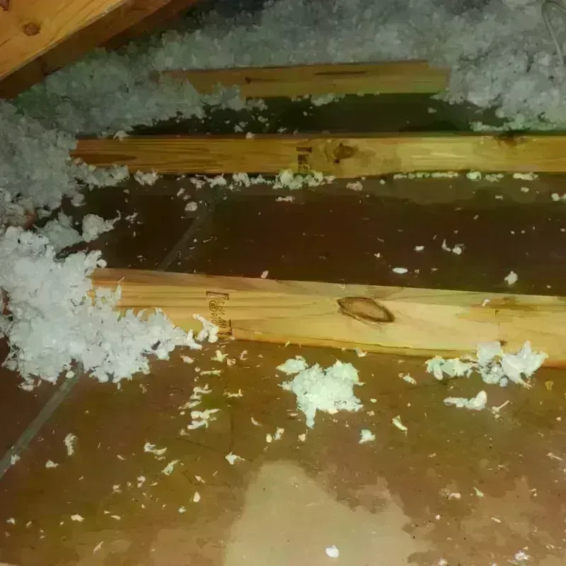 Attic Water Damage in Saugerties, NY